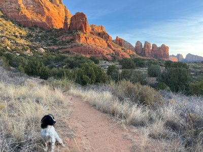 IMG_4276.jpeg IMG_4276.jpeg