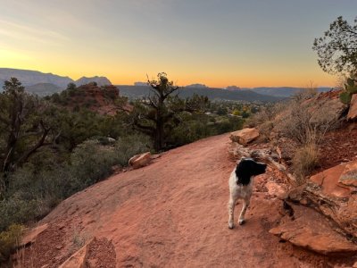 IMG_4266.jpeg IMG_4266.jpeg