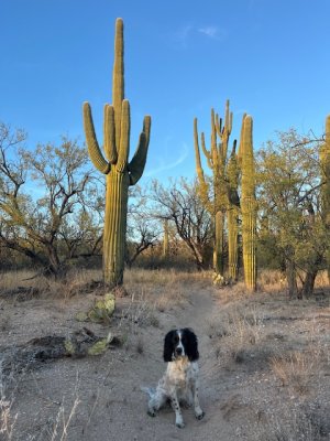 IMG_4181.jpeg IMG_4181.jpeg