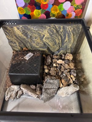 IMG_7095.jpeg IMG_7095.jpeg