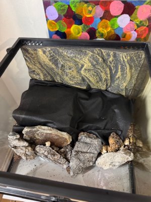 IMG_7098.jpeg IMG_7098.jpeg