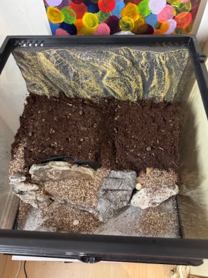 IMG_7099.jpeg IMG_7099.jpeg