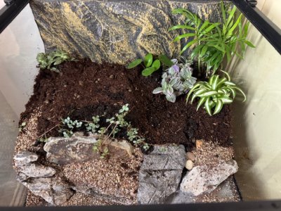 IMG_7100.jpeg IMG_7100.jpeg