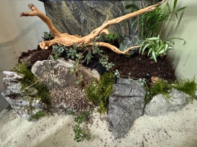 IMG_7103.jpeg IMG_7103.jpeg