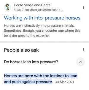 Screenshot_20241127_212506_Google.jpg