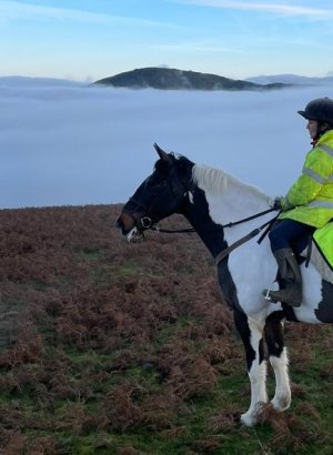 IMG-20221129-WA0004~2.jpg IMG-20221129-WA0004~2.jpg