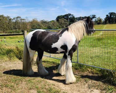 20241203_153428.jpg 20241203_153428.jpg