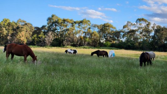 20241203_153757.jpg 20241203_153757.jpg