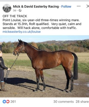 IMG_2563.jpeg IMG_2563.jpeg