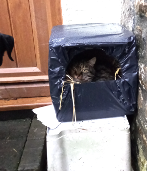 Screenshot 2024-12-04 at 07.38.09.png