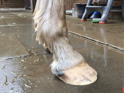 IMG_1003.jpeg IMG_1003.jpeg