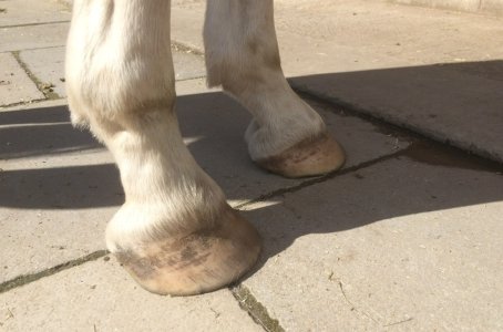 IMG_1806.jpeg IMG_1806.jpeg