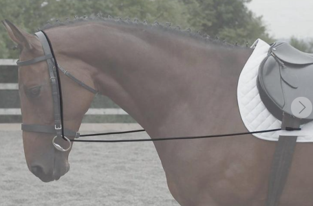 1733313089756.png 1733313089756.png