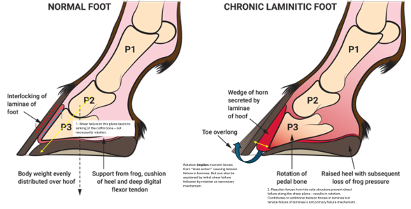 1733403628693.png 1733403628693.png