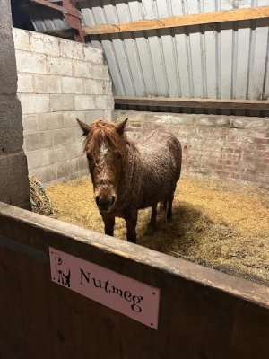 IMG_8489.jpeg IMG_8489.jpeg