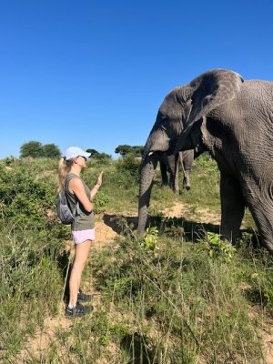 IMG_5139.jpeg IMG_5139.jpeg