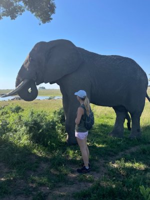 IMG_5144.jpeg IMG_5144.jpeg