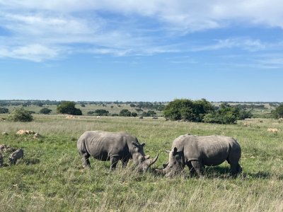 IMG_4904.jpeg IMG_4904.jpeg