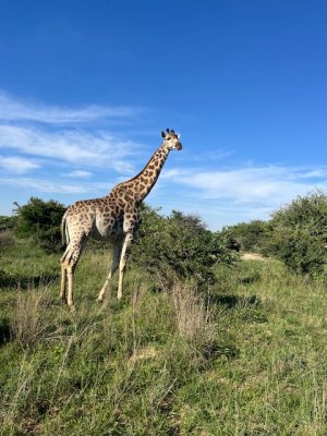 IMG_4878.jpeg IMG_4878.jpeg