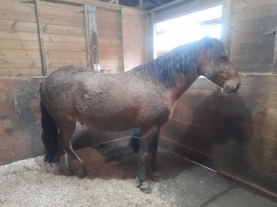 20241020_151816.jpg 20241020_151816.jpg