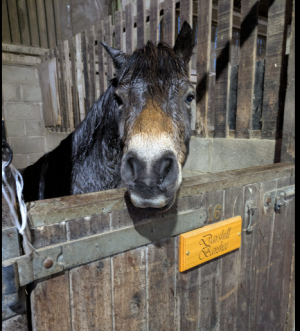 1733701644377.png 1733701644377.png