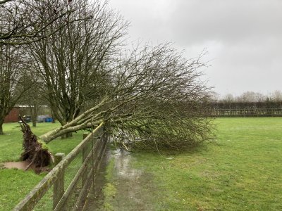 IMG_5457.jpeg IMG_5457.jpeg