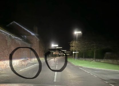 IMG_1832.jpeg IMG_1832.jpeg