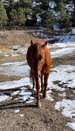 IMG_5340.jpeg IMG_5340.jpeg