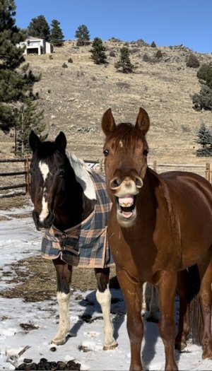 IMG_5333.jpeg IMG_5333.jpeg