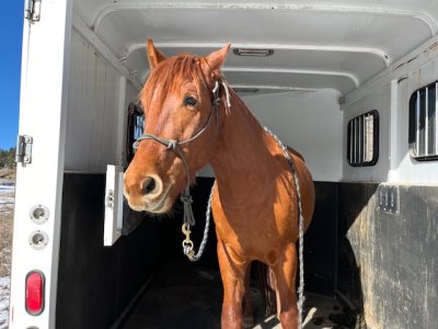 IMG_5318.jpeg IMG_5318.jpeg