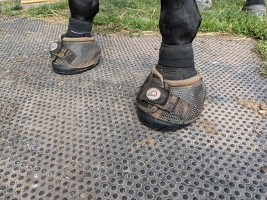 PXL_20240829_110901974 (1).jpg