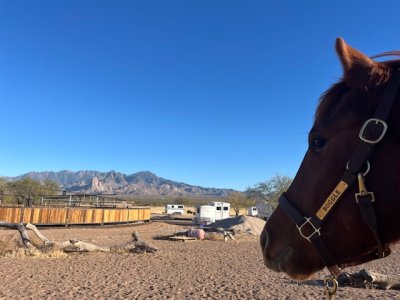 IMG_5436.jpeg IMG_5436.jpeg