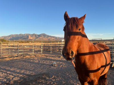 IMG_5446.jpeg IMG_5446.jpeg