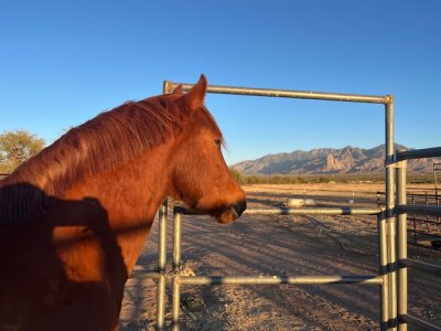 IMG_5462.jpeg IMG_5462.jpeg