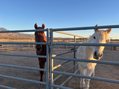 IMG_5467.jpeg IMG_5467.jpeg