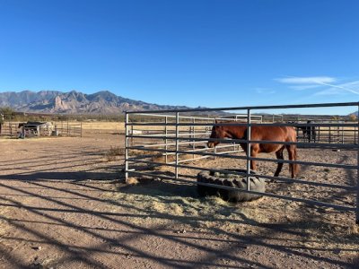 IMG_5439.jpeg IMG_5439.jpeg