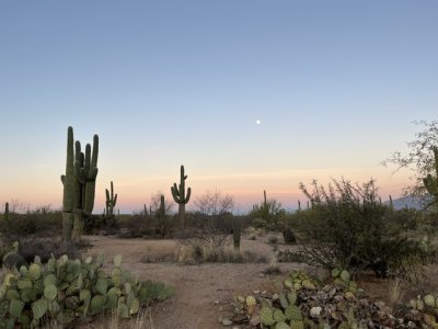 IMG_5483.jpeg IMG_5483.jpeg