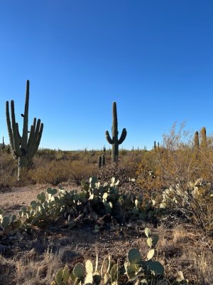 IMG_5507.jpeg IMG_5507.jpeg