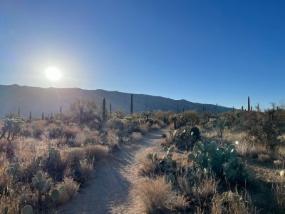 IMG_5510.jpeg IMG_5510.jpeg