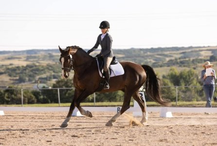 IMG_5517.jpeg IMG_5517.jpeg