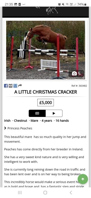 Screenshot_20241216_213506_Samsung Internet.jpg