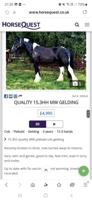 Screenshot_20241216_213649_Samsung Internet.jpg