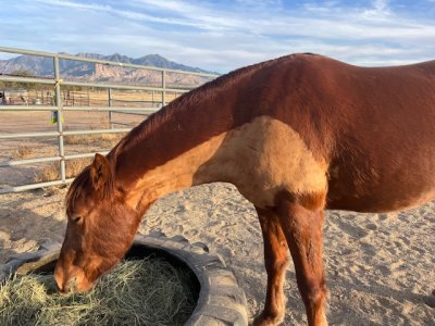 IMG_5526.jpeg IMG_5526.jpeg