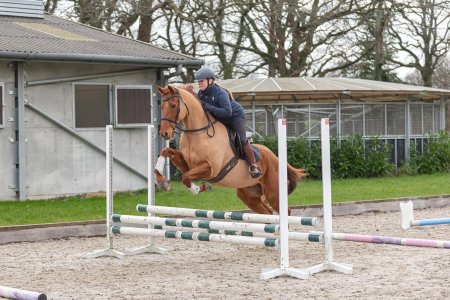 470242715_10163030194289052_743688660259860466_n.jpg 470242715_10163030194289052_743688660259860466_n.jpg