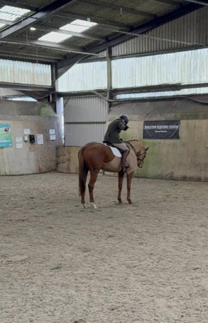 468998622_10162819510524052_4834311346645435484_n.jpg 468998622_10162819510524052_4834311346645435484_n.jpg