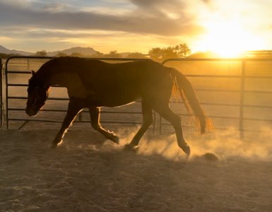 IMG_5551.jpeg IMG_5551.jpeg