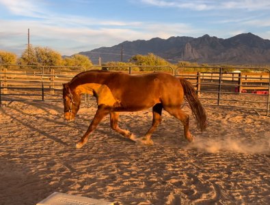 IMG_5550.jpeg IMG_5550.jpeg