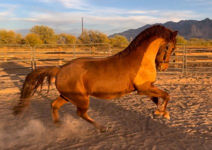 IMG_5549.jpeg IMG_5549.jpeg