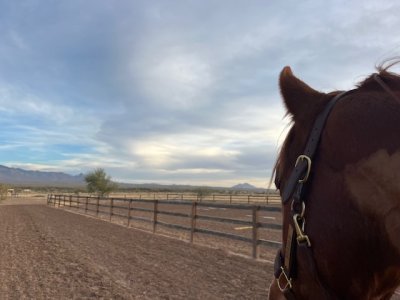 IMG_5535.jpeg IMG_5535.jpeg