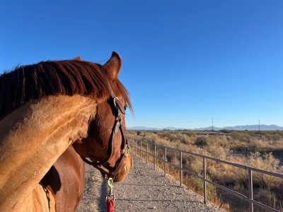 IMG_5555.jpeg IMG_5555.jpeg